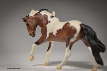 Load image into Gallery viewer, Rompaduex, painted by Lynn
