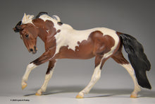 Load image into Gallery viewer, Rompaduex, painted by Lynn
