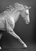 Load image into Gallery viewer, Cat Creek Fleet Feet