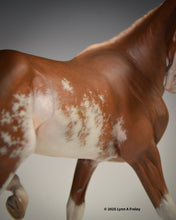 Load image into Gallery viewer, Sadie ShooFly, painted by Lynn