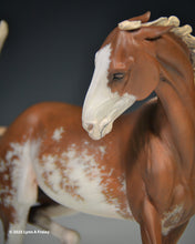 Load image into Gallery viewer, Sadie ShooFly, painted by Lynn