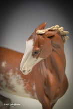 Load image into Gallery viewer, Sadie ShooFly, painted by Lynn