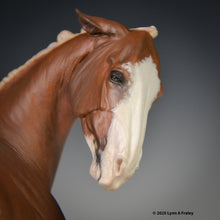 Load image into Gallery viewer, Sadie ShooFly, painted by Lynn