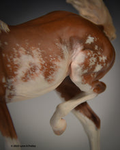 Load image into Gallery viewer, Sadie ShooFly, painted by Lynn