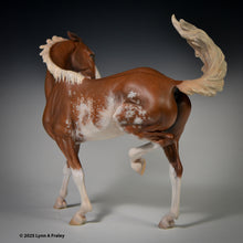 Load image into Gallery viewer, Sadie ShooFly, painted by Lynn