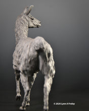 Load image into Gallery viewer, Squeeeee, a Llama
