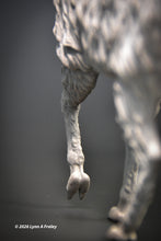 Load image into Gallery viewer, Squeeeee, a Llama
