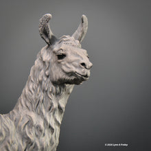 Load image into Gallery viewer, Squeeeee, a Llama