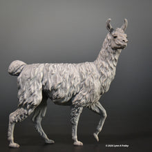 Load image into Gallery viewer, Squeeeee, a Llama