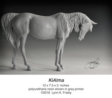 Load image into Gallery viewer, KiAlma